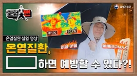 썸네일이미지