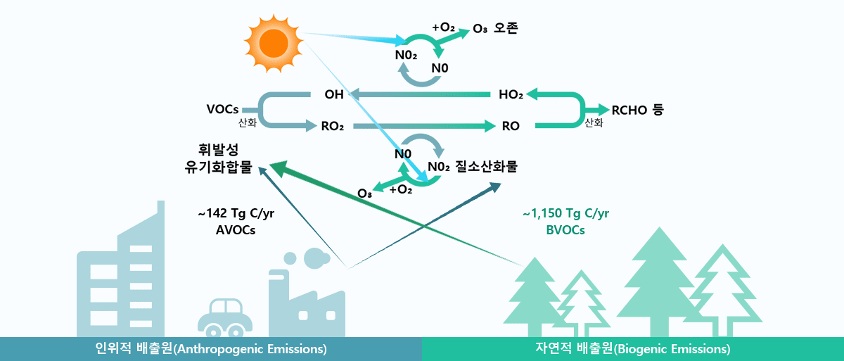 환경보건종합정보시스템 EHC > 왜 발생하나요?