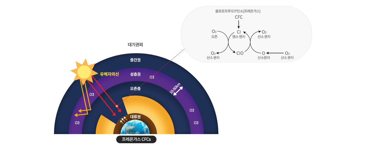 성층권에서 자외선 흡수량과 자외선A와 자외선B의 피부 침투 정도